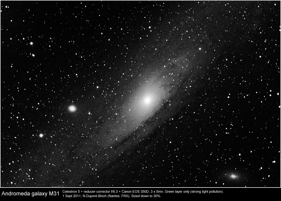 m31