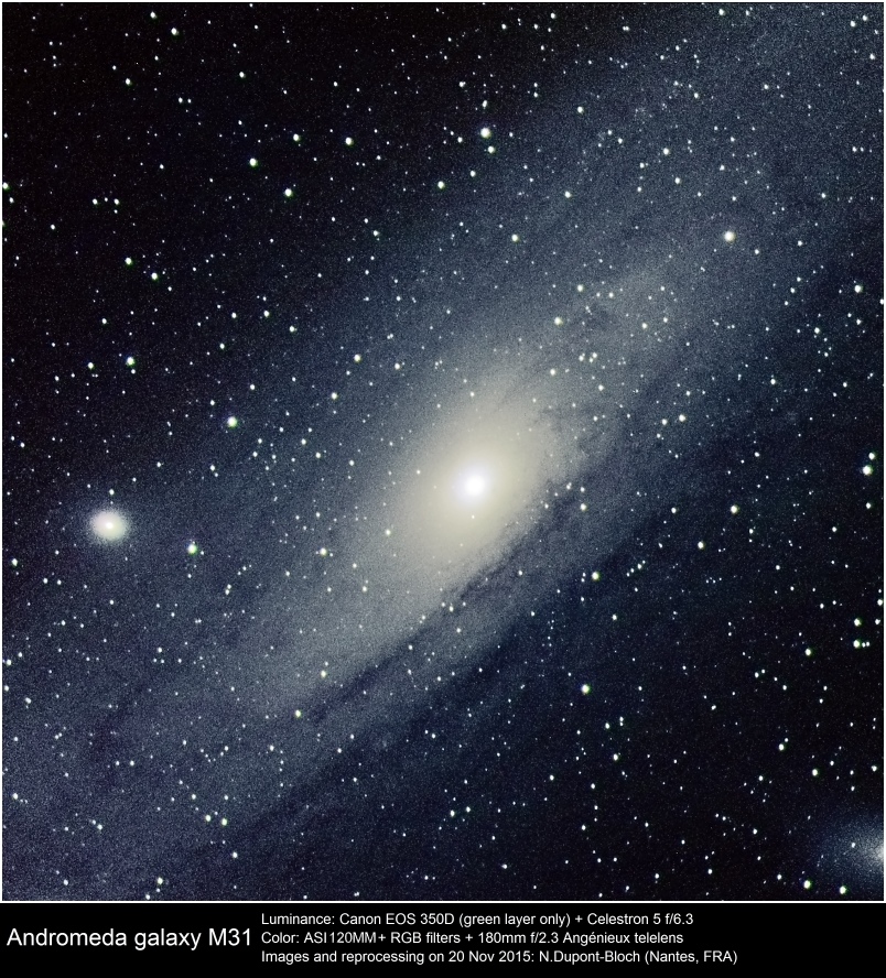 m31