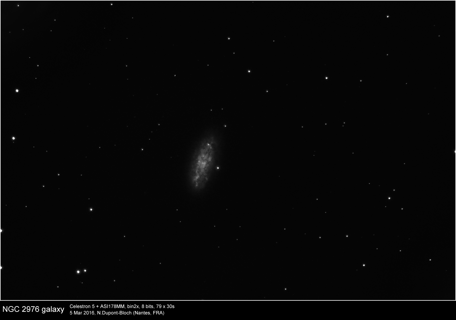 ngc2976
