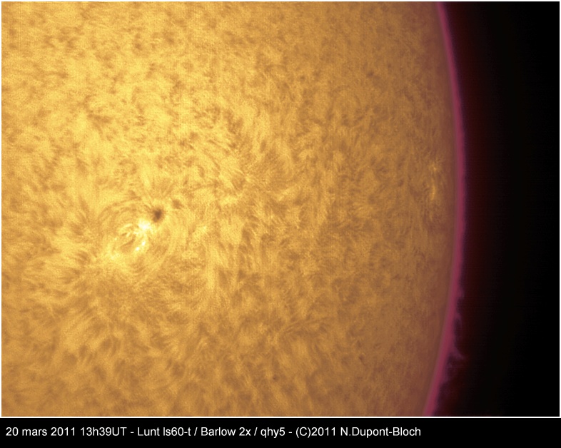 sun